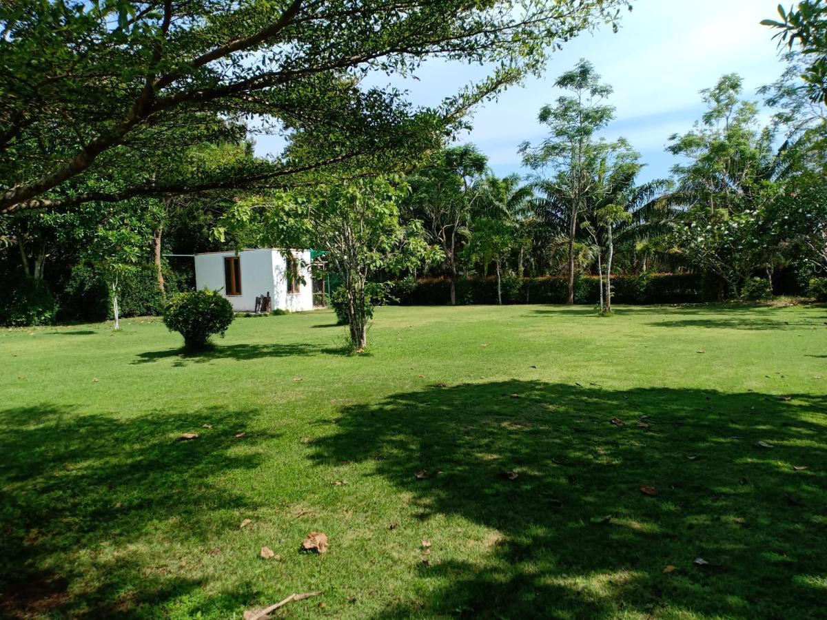 Mem Homestay Chumphon Exterior foto